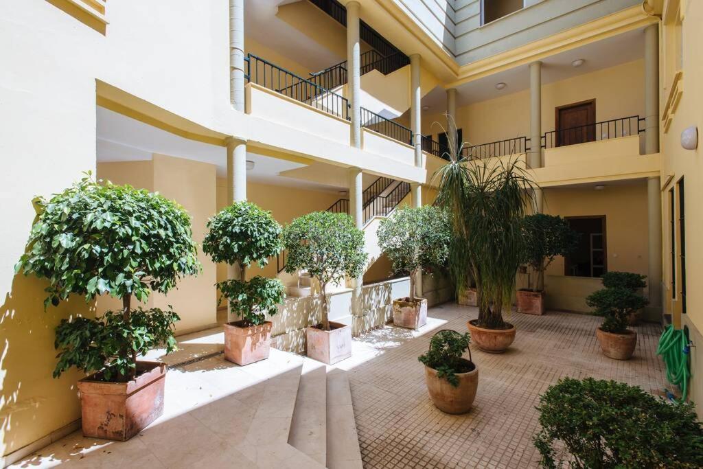 Cozy And Well Located Apartment In The Center Of 塞维利亚 外观 照片